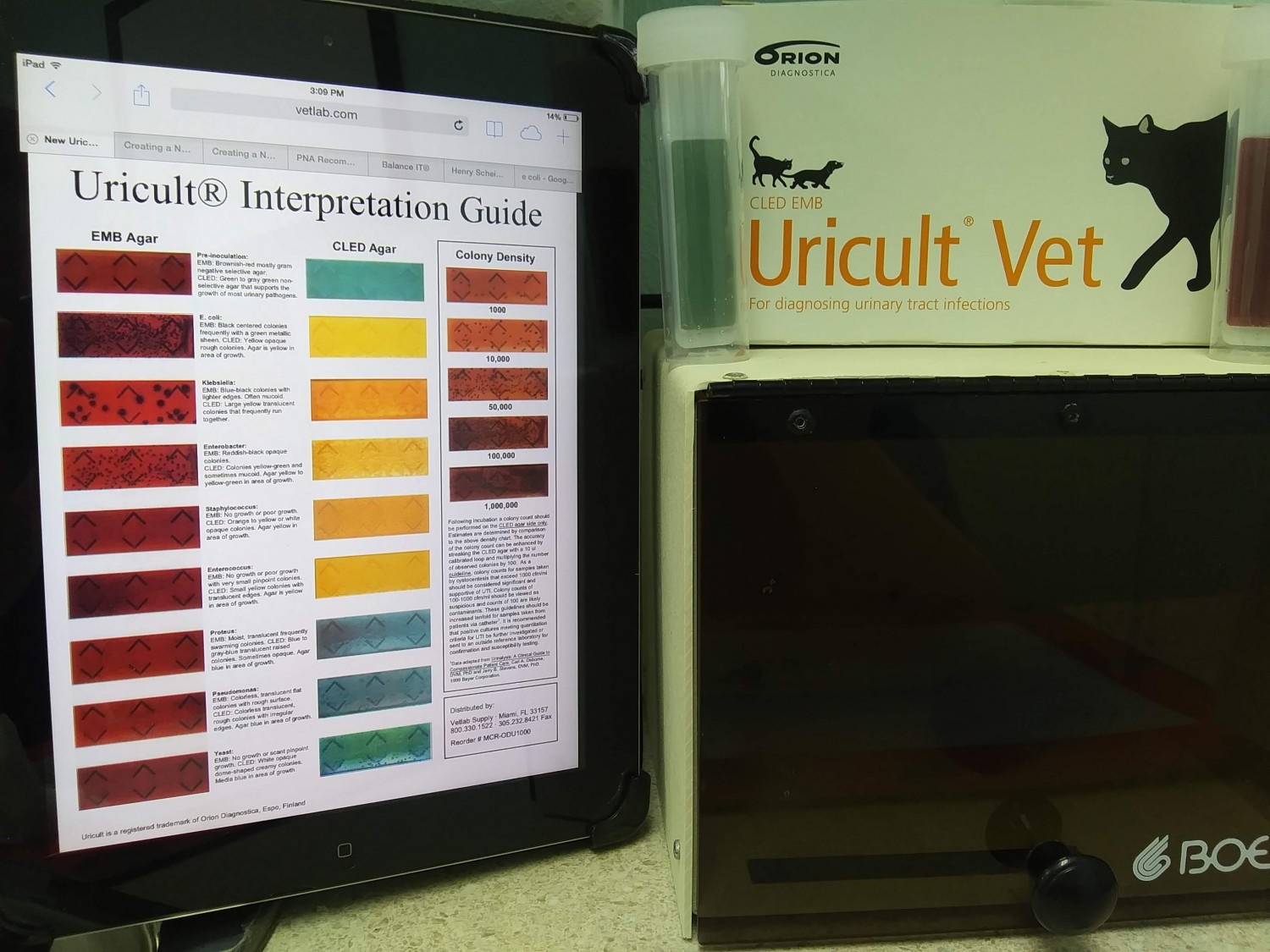 Veterinary Urine Culture tools Woodland in Jefferson City Veterinary Urine Culture tools Woodland in Jefferson City