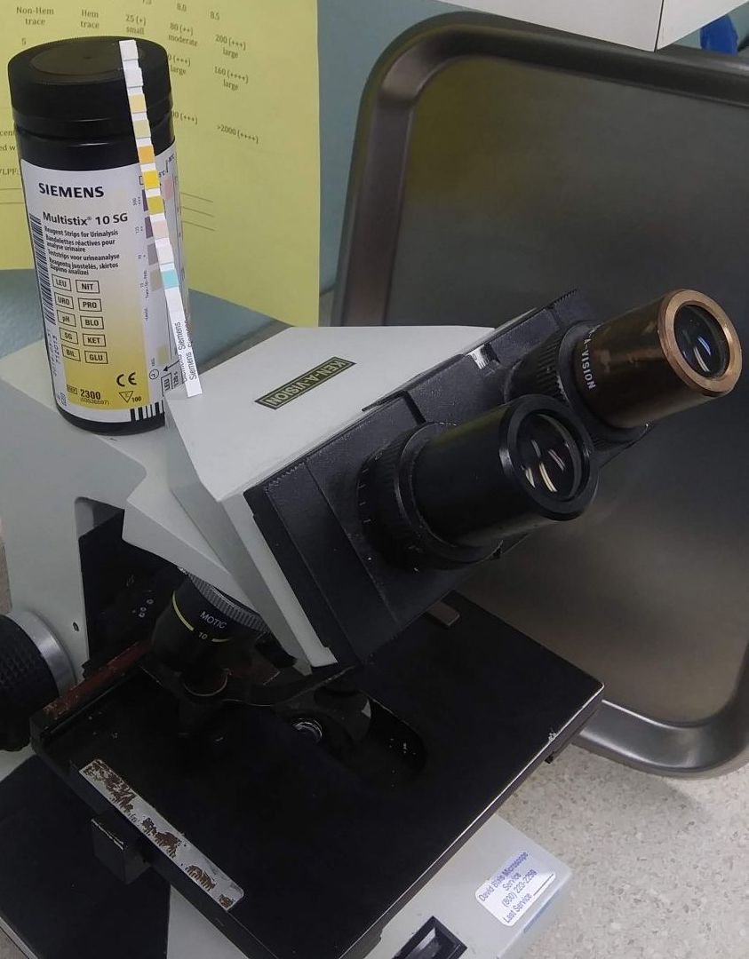 Veterinary Urinalysis Tools Veterinary Urinalysis Tools