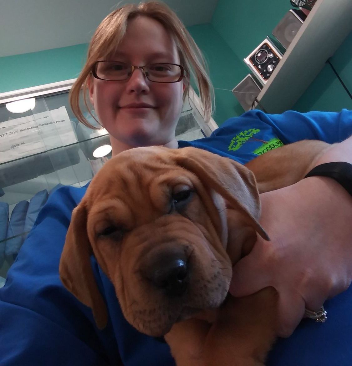 Tonya Fisher, RVT at Woodland Animal Hospital in Jefferson City Tonya Fisher, RVT at Woodland Animal Hospital in Jefferson City