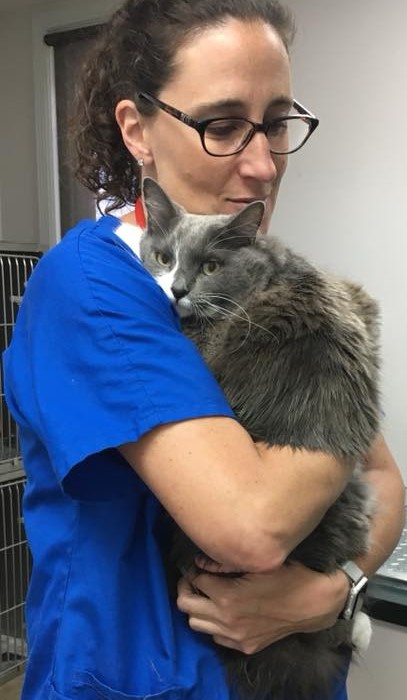 Veterinarian Dr. Roller and a feline patient Veterinarian Dr. Roller and a feline patient