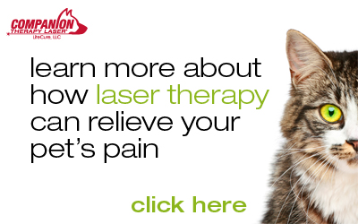 companion laser therapy banner