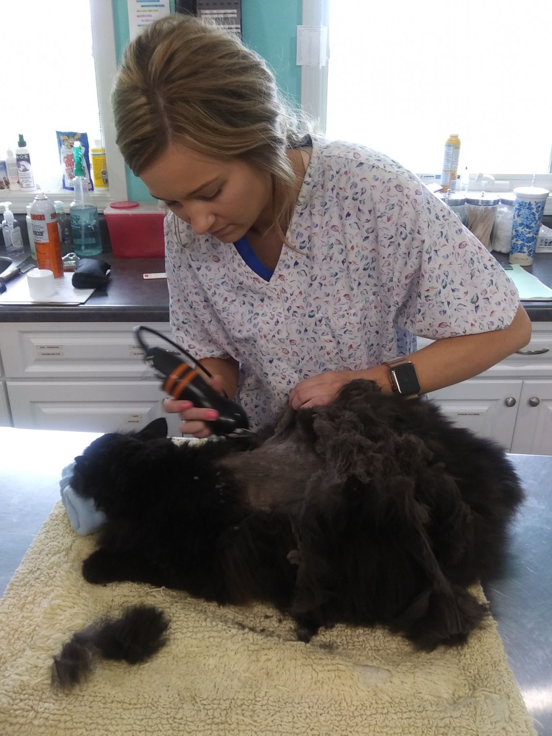 grooming